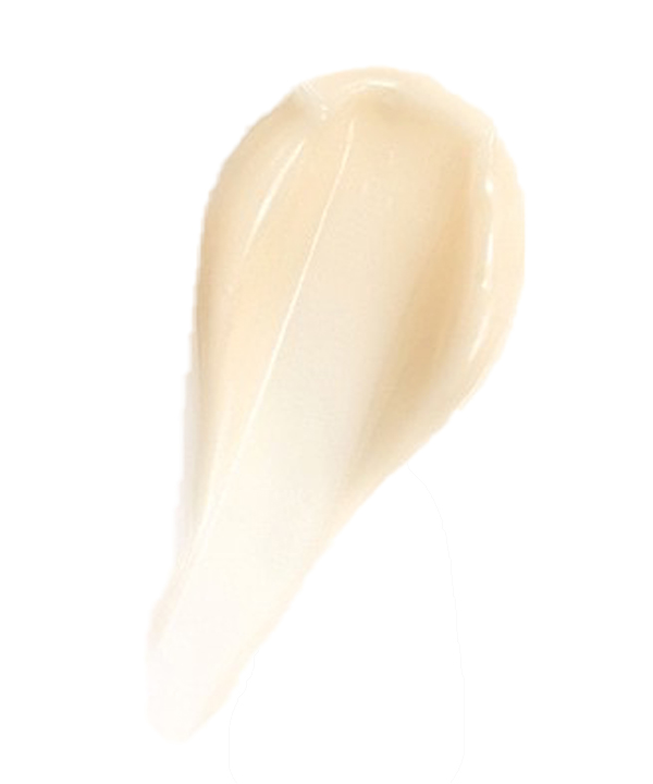 Антивозрастной крем с экстрактом черного трюфеля для упругости кожи JennyHouse Truffle Firming Cream 10 мл